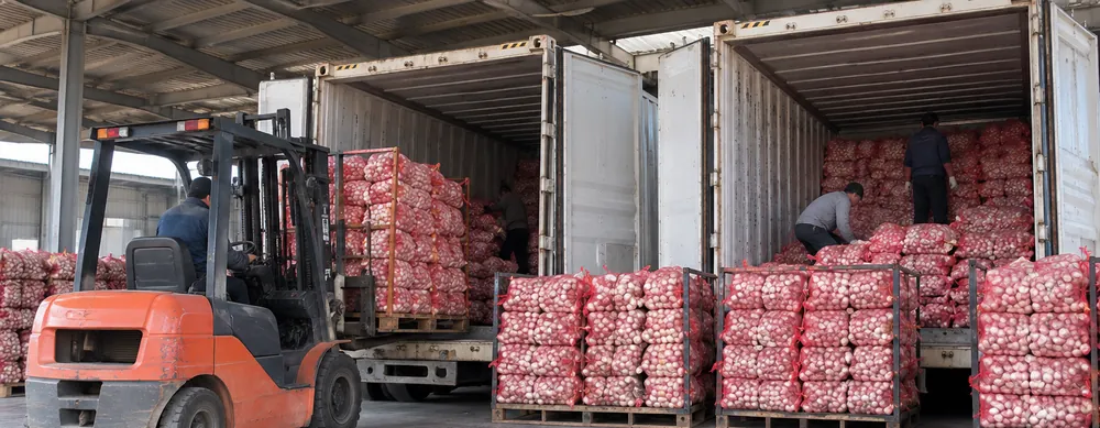 Forklift loading pallets of garlic mesh bags into shipping containers (AI-generated image)