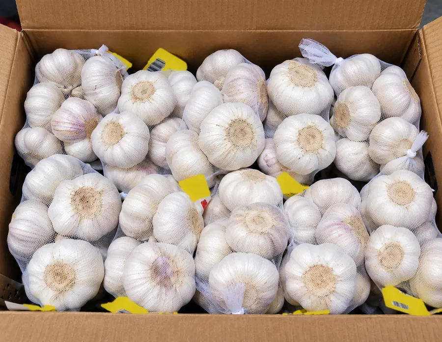 Carton packed with net bags of white garlic (AI-generated image)
